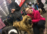 2-12-2018-prague-expo-dog_21.jpg