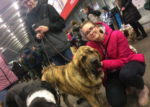 j8yk24z2mo_2-12-2018-prague-expo-dog_1