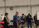 2-12-2018-prague-expo-dog_12.jpg