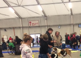 2-12-2018-prague-expo-dog_20.jpg