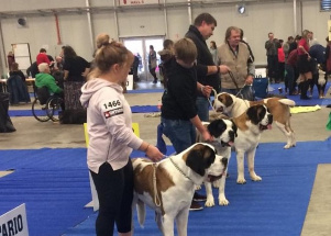 j8yk24z2mo_2-12-2018-prague-expo-dog_1