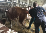 6-12-2018-studenti-ctvrtych-rocniku-na-inseminacnim-kurzu_2.jpg