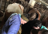 6-12-2018-studenti-ctvrtych-rocniku-na-inseminacnim-kurzu_1.jpg
