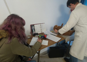y8ajc61rb3_16-12-2018-studenti-vypomahali-pri-posuzovani-drobneho-zvirectva_1