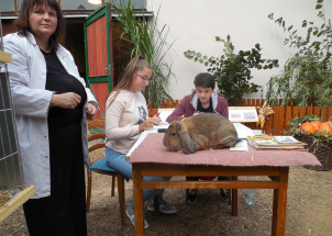 y8ajc61rb3_16-12-2018-studenti-vypomahali-pri-posuzovani-drobneho-zvirectva_1