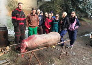 7xo6cd542p_13-12-2018-zabijacka-na-skolnim-statku_1