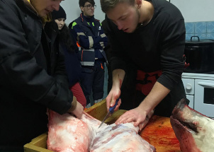 7xo6cd542p_13-12-2018-zabijacka-na-skolnim-statku_1