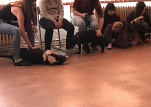 u0vvsogvgr_18-12-2018-myslivecka-kynologie_1