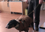 18-12-2018-myslivecka-kynologie_12.jpg