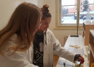 uhre4jn2nn_15-02-2019-1-a-v-laboratori_1
