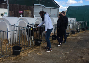 1msaellbcl_25-03-2019-3-a-na-farme-ruda_1