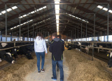 25-03-2019-3-a-na-farme-ruda_1.jpg