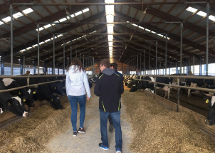 1msaellbcl_25-03-2019-3-a-na-farme-ruda_1