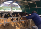 25-03-2019-3-a-na-farme-ruda_6.jpg