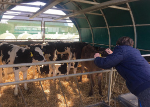 1msaellbcl_25-03-2019-3-a-na-farme-ruda_1