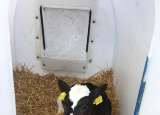 25-03-2019-3-a-na-farme-ruda_4.jpg