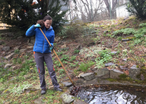 qb9x8r0g4i_11-04-2019-jarni-prace-na-botanicke-zahrade_1