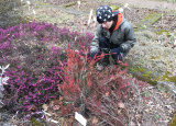 11-04-2019-jarni-prace-na-botanicke-zahrade_8.jpg