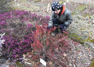 qb9x8r0g4i_11-04-2019-jarni-prace-na-botanicke-zahrade_1