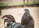11-04-2019-praxe-4-ch-v-zoo-plasy_23.jpg