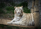 11-04-2019-praxe-4-ch-v-zoo-plasy_5.jpg
