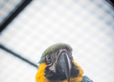 11-04-2019-praxe-4-ch-v-zoo-plasy_15.jpg