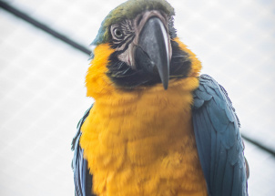 r8j0x6bm0c_11-04-2019-praxe-4-ch-v-zoo-plasy_1