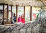 11-04-2019-praxe-4-ch-v-zoo-plasy_21.jpg