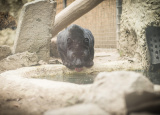 11-04-2019-praxe-4-ch-v-zoo-plasy_19.jpg