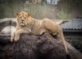 11-04-2019-praxe-4-ch-v-zoo-plasy_14.jpg