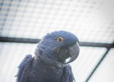 11-04-2019-praxe-4-ch-v-zoo-plasy_16.jpg