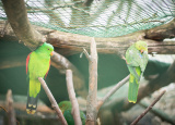 11-04-2019-praxe-4-ch-v-zoo-plasy_13.jpg