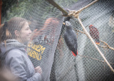 11-04-2019-praxe-4-ch-v-zoo-plasy_25.jpg