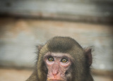 11-04-2019-praxe-4-ch-v-zoo-plasy_20.jpg