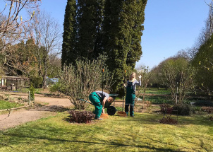 3c83yg0lmu_16-04-2019-jarni-prace-1-a-v-botanicke-zahrade_1