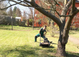 16-04-2019-jarni-prace-1-a-v-botanicke-zahrade_5.jpg