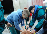 3-05-2019-praxe-2-a-manipulace-se-zviraty_4.jpg