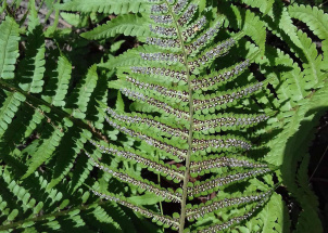 ddha7erlov_16-06-2019-ekologove-na-soutezi-mlady-zahradkar_1