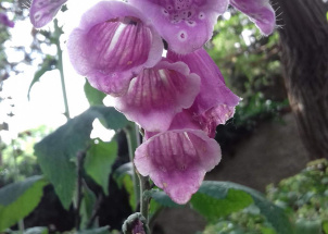 ddha7erlov_16-06-2019-ekologove-na-soutezi-mlady-zahradkar_1