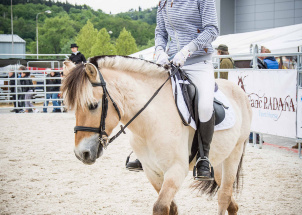 sujk7ibstm_14-05-2019-narodni-vystava-hospodarskych-zvirat-v-brne_1