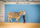 14-05-2019-narodni-vystava-hospodarskych-zvirat-v-brne_14.jpg