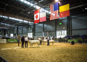 sujk7ibstm_14-05-2019-narodni-vystava-hospodarskych-zvirat-v-brne_1