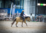 14-05-2019-narodni-vystava-hospodarskych-zvirat-v-brne_10.jpg