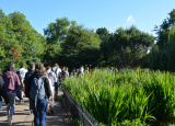 22-06-2019-expedice-anglie-2019_40.jpg