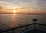 22-06-2019-expedice-anglie-2019_1.jpg