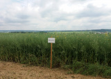 6-06-2019-polni-den-v-lisanech_1.jpg