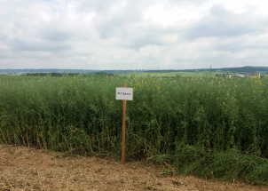 hyzb0mw47u_6-06-2019-polni-den-v-lisanech_1
