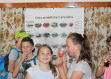 14-06-2019-co-vis-o-ceskem-zemedelstvi_3.jpg