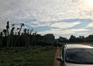 iwian0lrqx_5-09-2019-odborna-exkurze-sklizen-chmele_1