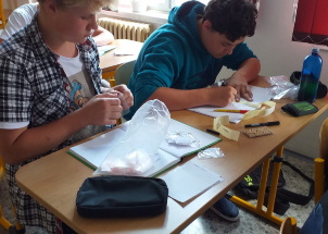 wreiig3fz2_18-09-2019-cviceni-z-pestovani-rostlin_1